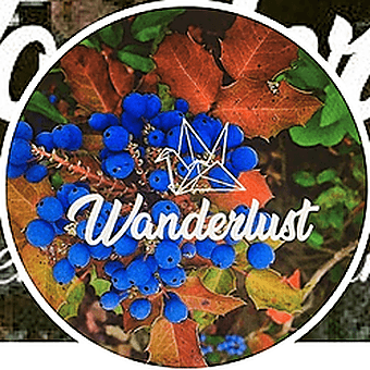 Wanderlust Premium Cannabis