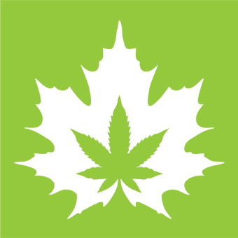 Fire & Flower |Cannabis Store logo