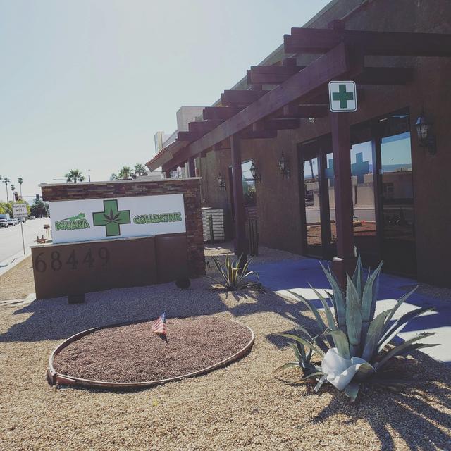 Iguana Dispensary