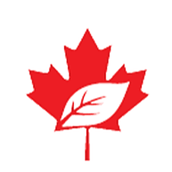 The Local Leaf Cannabis logo