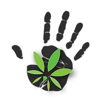 High 5 Headquarters