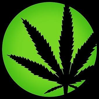 Cannabliss Dispensary (Delta 8 THC & CBD)