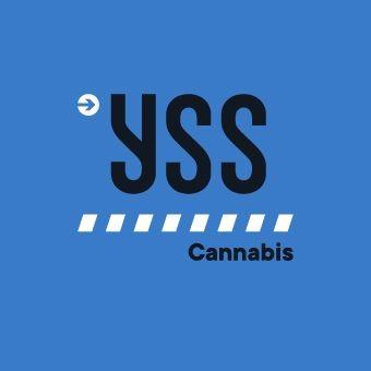 YSS Cannabis Grande Prairie, AB. logo
