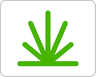VIP Cannabis Co. Petersburg