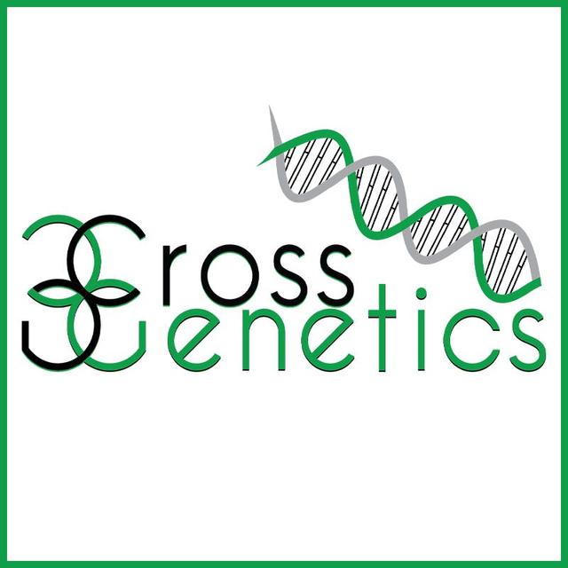Cross Genetics - Dispensary Denver