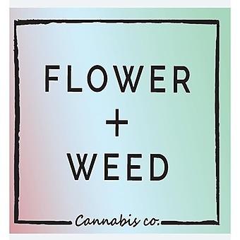 Cannazone Edmonds logo