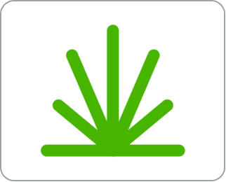 VIP Cannabis - London