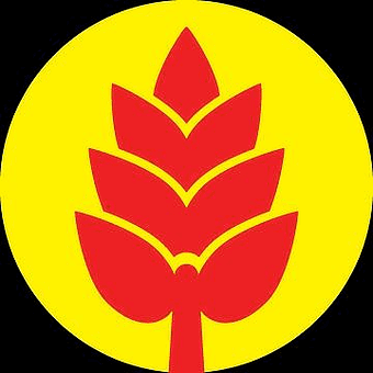 CTP Botanicals Plus