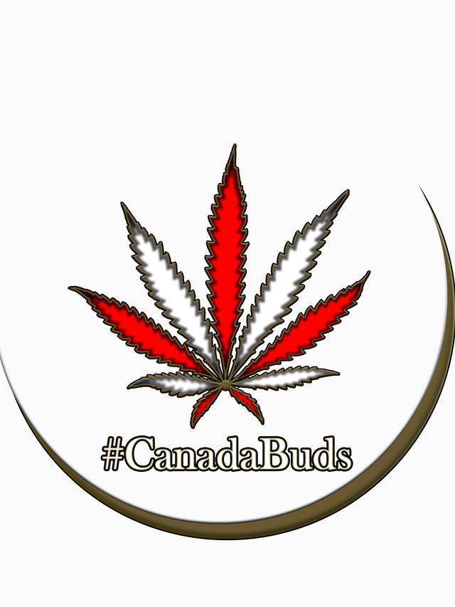 Canada Buds Burlington logo