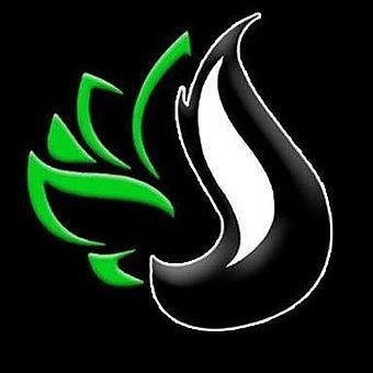Stink Blossom logo