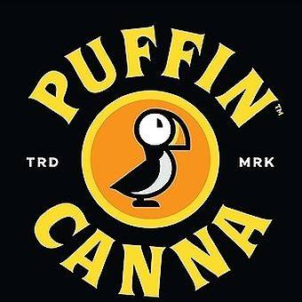 Puffin Canna