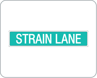 Strain Lane (Temporarily Closed) logo