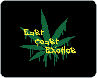 East Coast Exotics logo