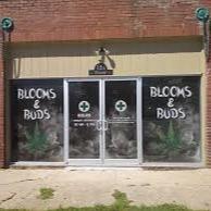 Blooms and Buds