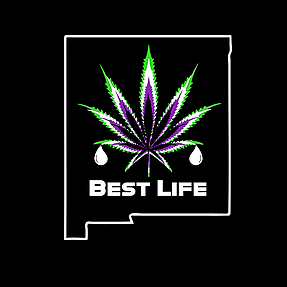 Best Life Productions logo