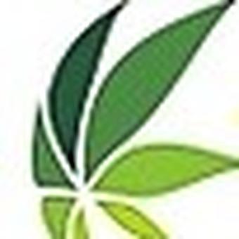 Trenton Cannabis