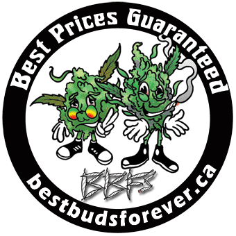 BBF's - Best Buds Forever - Junction logo