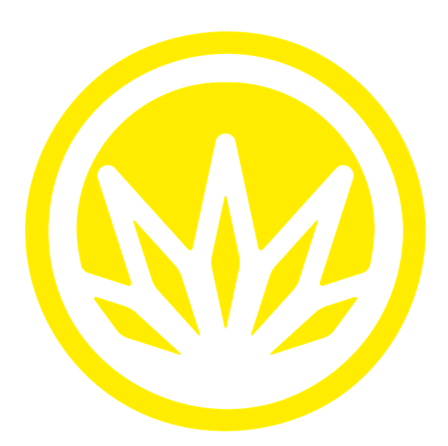 Cannabis 21+ logo