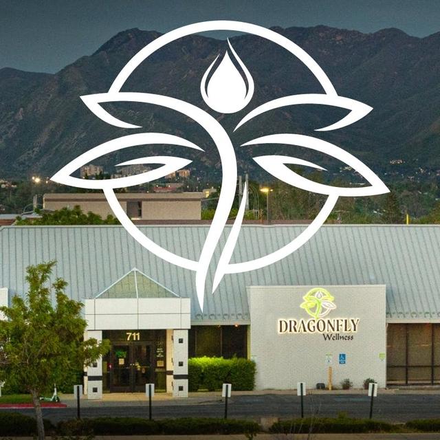 Dragonfly Wellness logo