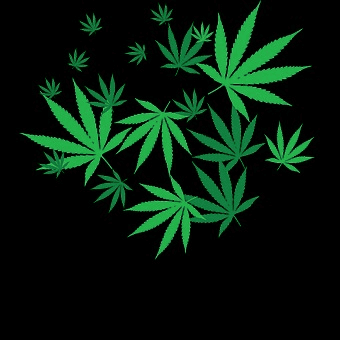 Amnesia dispensary logo