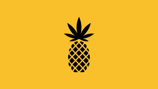 Pineapple Express Hollywood Weed Dispensary