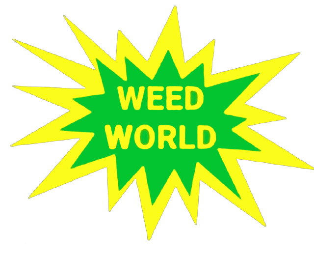 Weed World at Fox Cave Dispensary Consumption Lounge and Gift Shop over 3,000 pipes in stock!