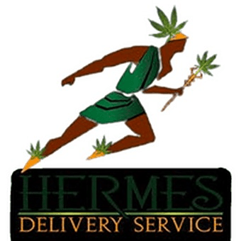 Hermes Delivery Service logo
