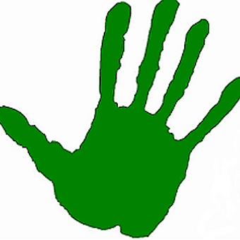 Green Stop Mt Baker logo