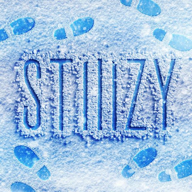 STIIIZY North Hollywood logo