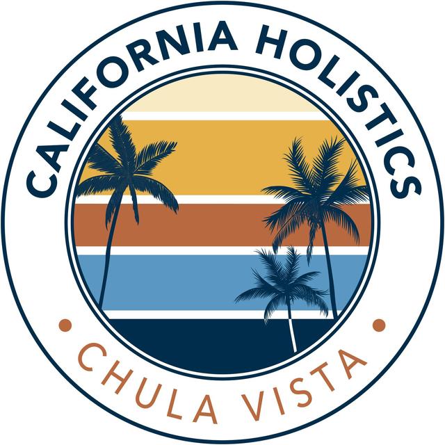  Holistics logo
