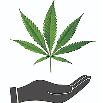 The Green Den Retail Cannabis logo