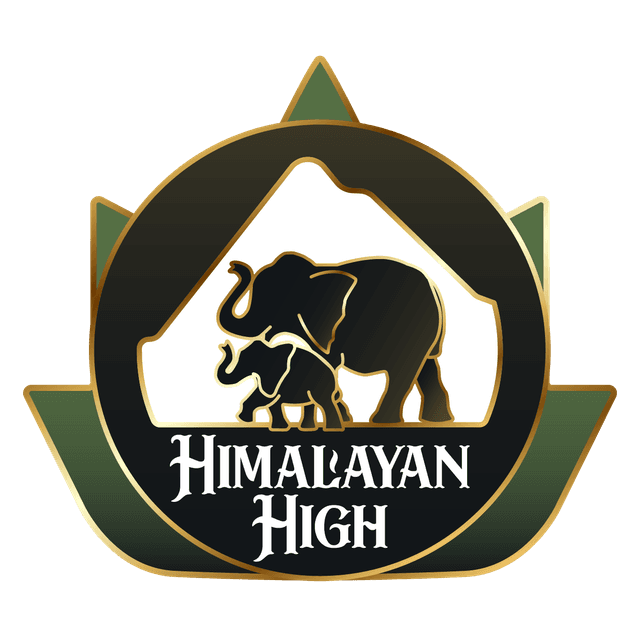 Himalayan High