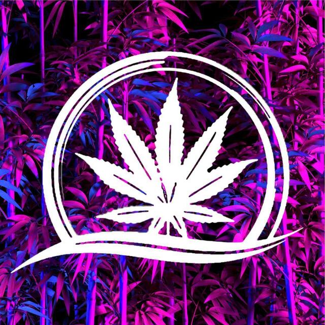 Higher Vision Cannabis Dispensary
