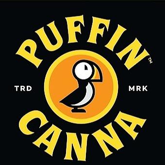 Puffin Canna