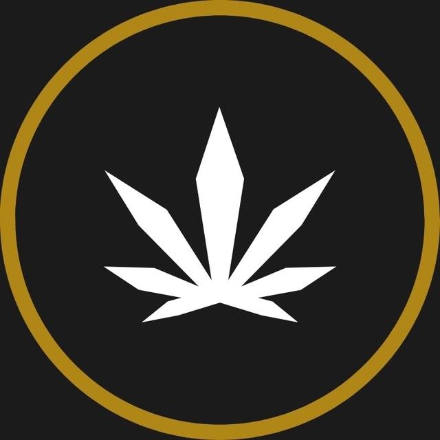 Local Cannabis Co. - Kingsway logo