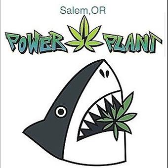 Power Plant Salem