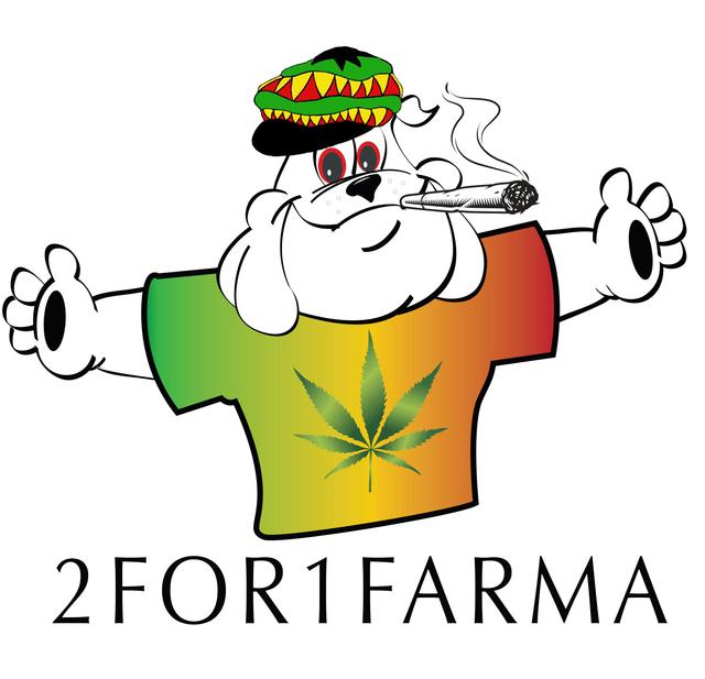 2 FOR 1 FARMA LLC
