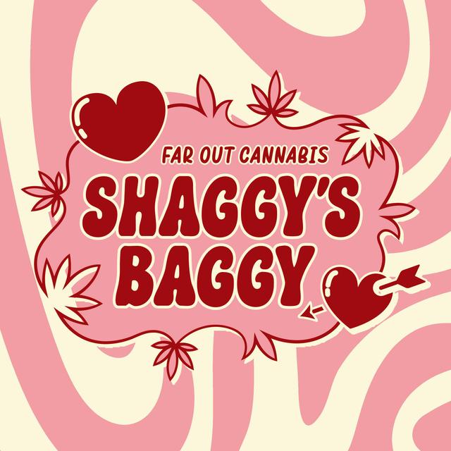 Shaggy's Baggy logo