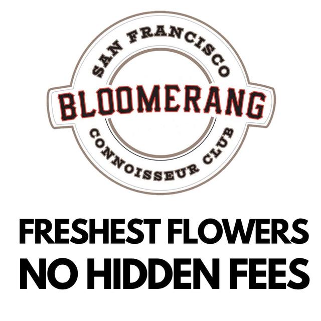 Bloomerang logo