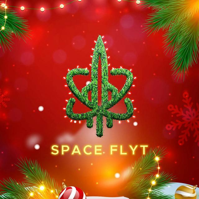 Space Flyt logo