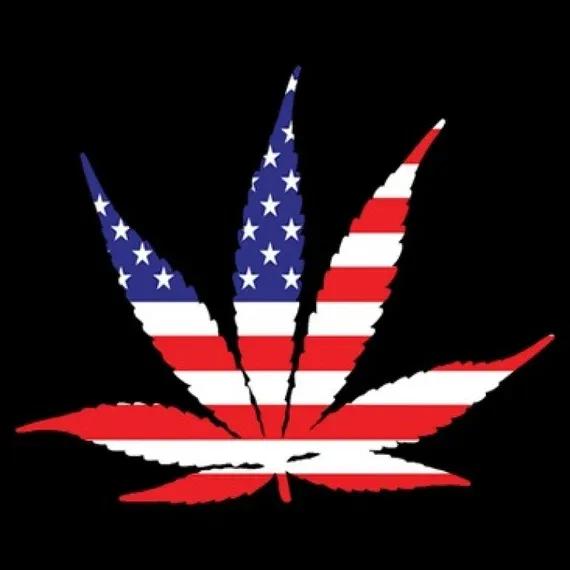 Top Strainz Dispensary