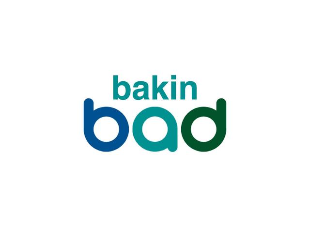 Bakin Bad logo