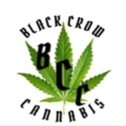 Black Crow Cannabis logo
