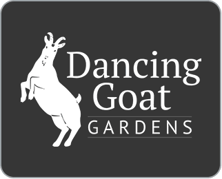 Dancing Goat Gardens Missoula