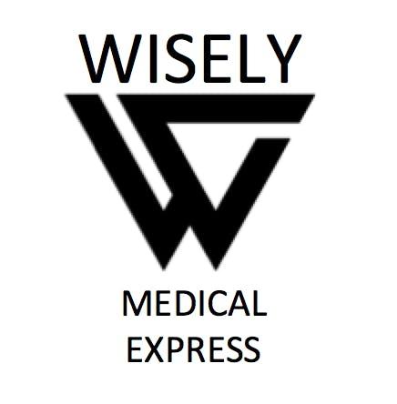 Wisely Express - South Berwick logo