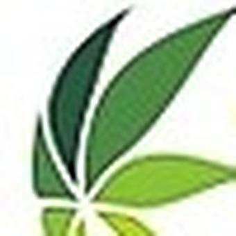 Olympia Cannabis Tweed