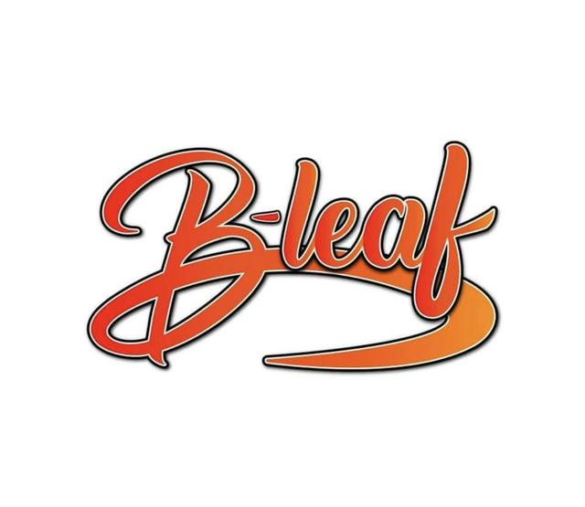BLeaf Dispensary