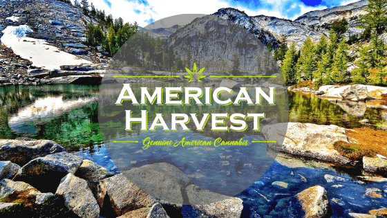 American Harvest - Cannabis Store (Recreational & Medically Endorsed)
