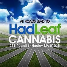 Hadleaf Cannabis Dispensary Hadley logo