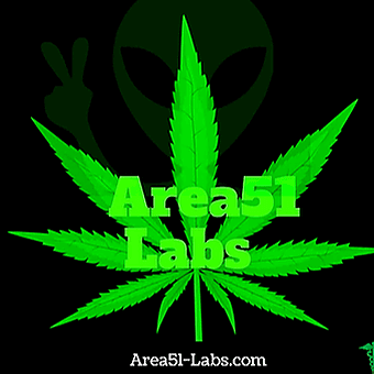 Area51 Labs logo